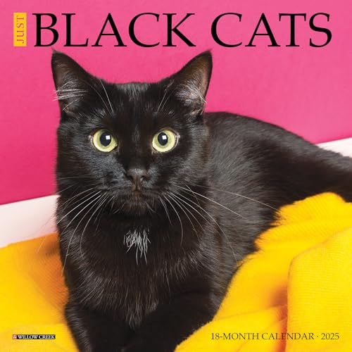 Willow Creek Press Black Cats Monthly Mini 2025 Wall Calendar (7" x 7")