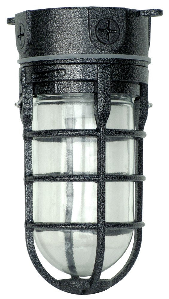 Woods L1706BLK Vandal Resistant 150W Incandescent Security Light, Ceiling Mount, Hammered Black