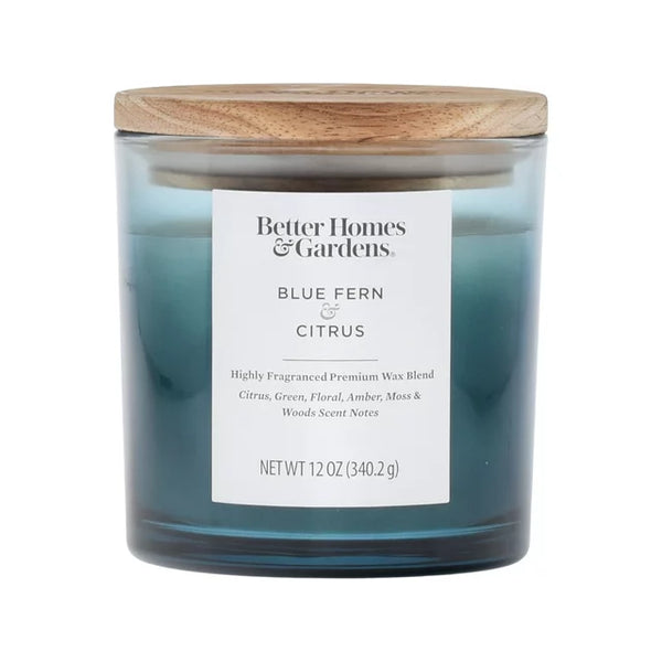 Better Homes & Gardens 12oz Blue Fern & Citrus Scented 2-Wick Ombre Jar Candle